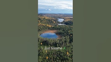 Overwhelmed? This One Minute Might Help 🌿 #nature #mentalhealth #mentalhealthawareness