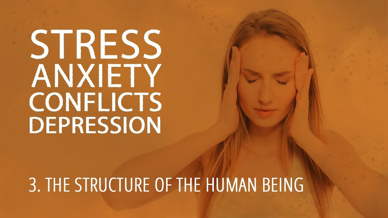 3 - The structure of the human being | Stress, Anxiety, Conflicts, Depression