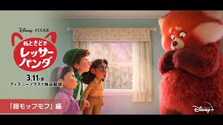 『私ときどきレッサーパンダ』｜本編映像「超モッフモフ」編｜Disney+ (ディズニープラス）