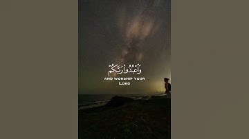 إدعمنا بالإشتراك بقناتنا الجديدة - #تلاوة_خاشعة