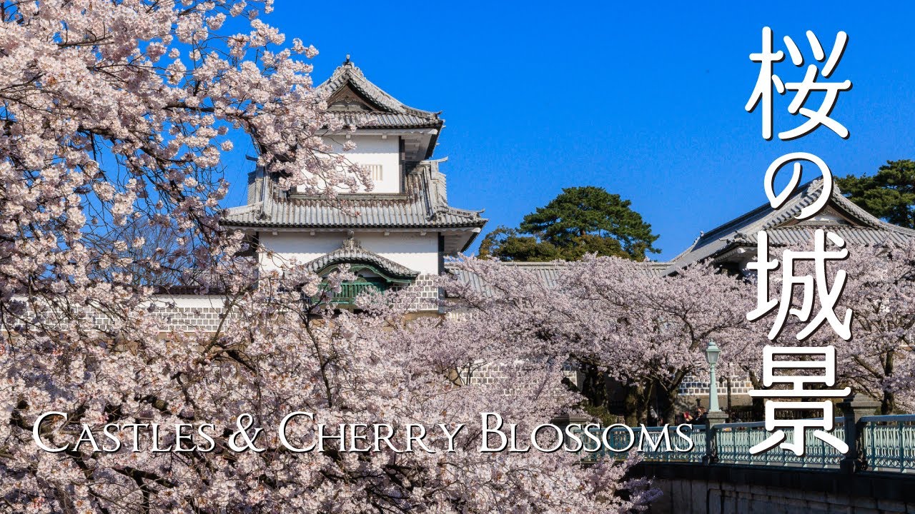 桜の城景13城｜Castles & Cherry Blossoms - 4K Scenic Film (Japan