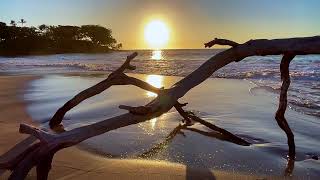 Nice Day at Mau’umae Beach 12 of 14 - Island Horizon Videos 2137