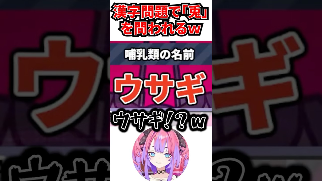 漢字で「兎」を問われてなんか違うのに何故か正解するヴィヴィｗ[ホロライブ切り抜き #綺々羅々ヴィヴィ #hololiveDEV_IS #flowglow ]