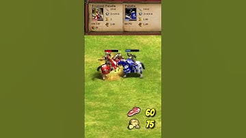 Frankish Paladin vs Paladin (Franks) (AoE2) #Shorts