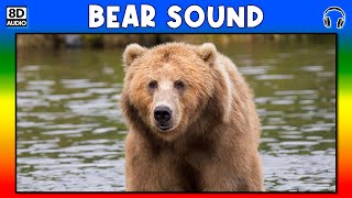 Bear Sound - Bear Sound Effect - Sound Of Bear - Noise Of Bear