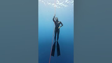 Have you tried any visualization techniques before your dives? | Freedive Academy