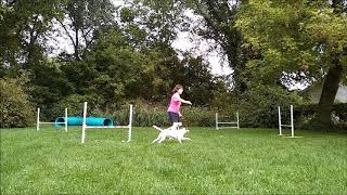 Week 6 Intermediate 1 and 2