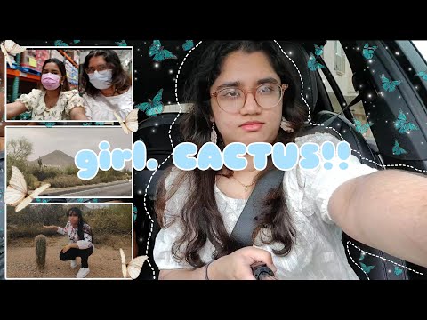 Gen Z Takes on Arizona: 18 year old's first experience in Costco!!