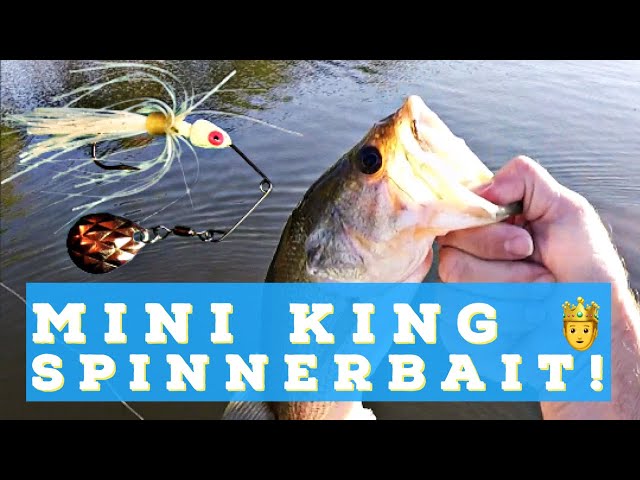 Fishing the Strike King Mini King Spinnerbait 