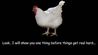 The Joy Chicken COMING SOON!