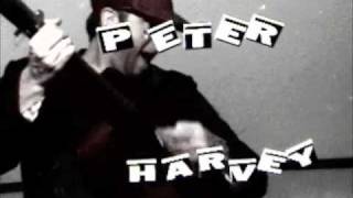 Peter Harvey--Mister Moon