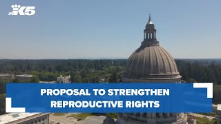 Proposal to strengthen reproductive rights