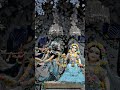 श्री राधा 🌺🌺#radhakrishna #radha #radheradhe #shortsfeed #ytshorts #bhakti #devotional #spritual