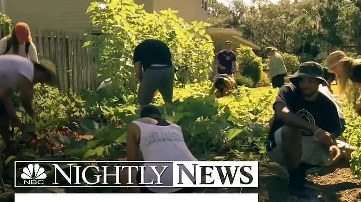 Fleet Farming? How One Group Wants To Turn Your Front Yard Into Full-Fledge Farm | NBC Nightly News - DayDayNews