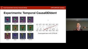 Sara Magliacane - "Causal Representation Learning in Temporal Settings"