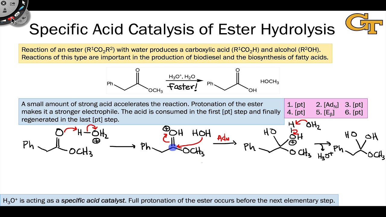 01 08 Ester Hydrolysis And Specific Acid Catalysis YouTube 01 08 Ester Hydrolysis And Specific Acid Catalysis YouTube