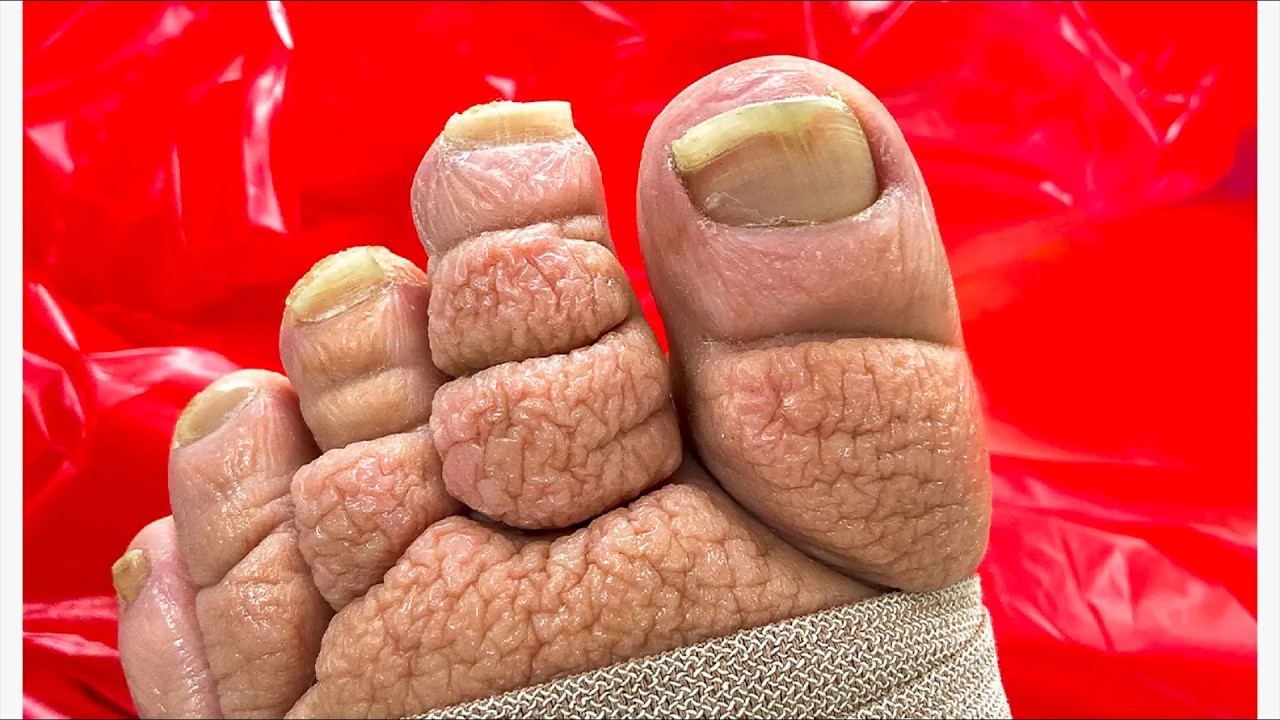 30 Minutes of SHOCKING Photos That Will Leave You SPEECHLESS!