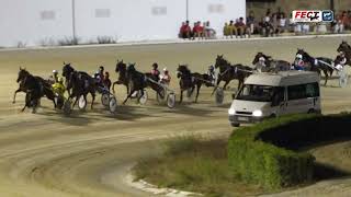 Vidéo de la course PMU PREMI JIVIBO