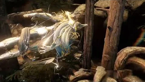 Warframe : Drifter's camp "Easter Egg?"