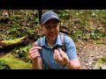Prehistoric Creature FOUND ALIVE! (Trilobite Beetle)