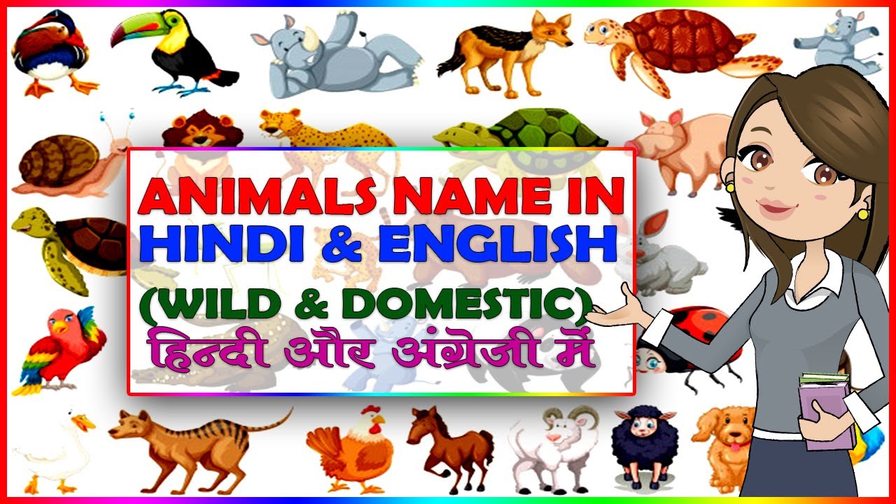learn domestic & wild animal names in Hindi & English. पालतू और जंगली