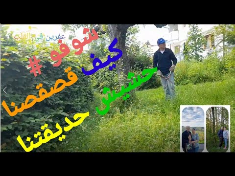 فيديو: تسوية كوخ صيفي لحديقة نباتية وحشيش
