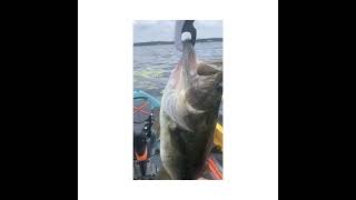 Kayak Bass Fishing Challenge Series August 2023