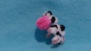 Moo Moo Yoshi