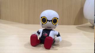 超速レビュー】本日出荷開始！ トヨタのロボット「KIROBO mini
