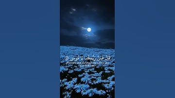 تلاوه قصيرة من سورة طه بصوت القارئ احمد خضر #explore #quran #quran_kareem #قرآن