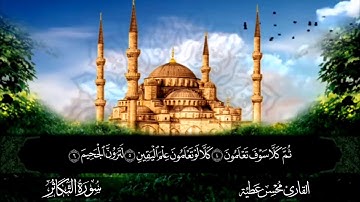 سورة التكاثر القارئ محسن عطية