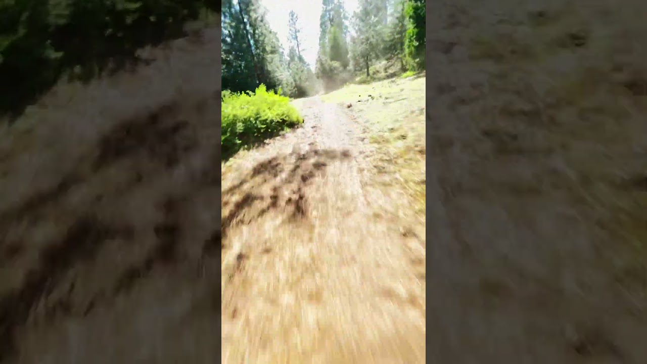 SHAVER LAKES HIDDEN TRAILS