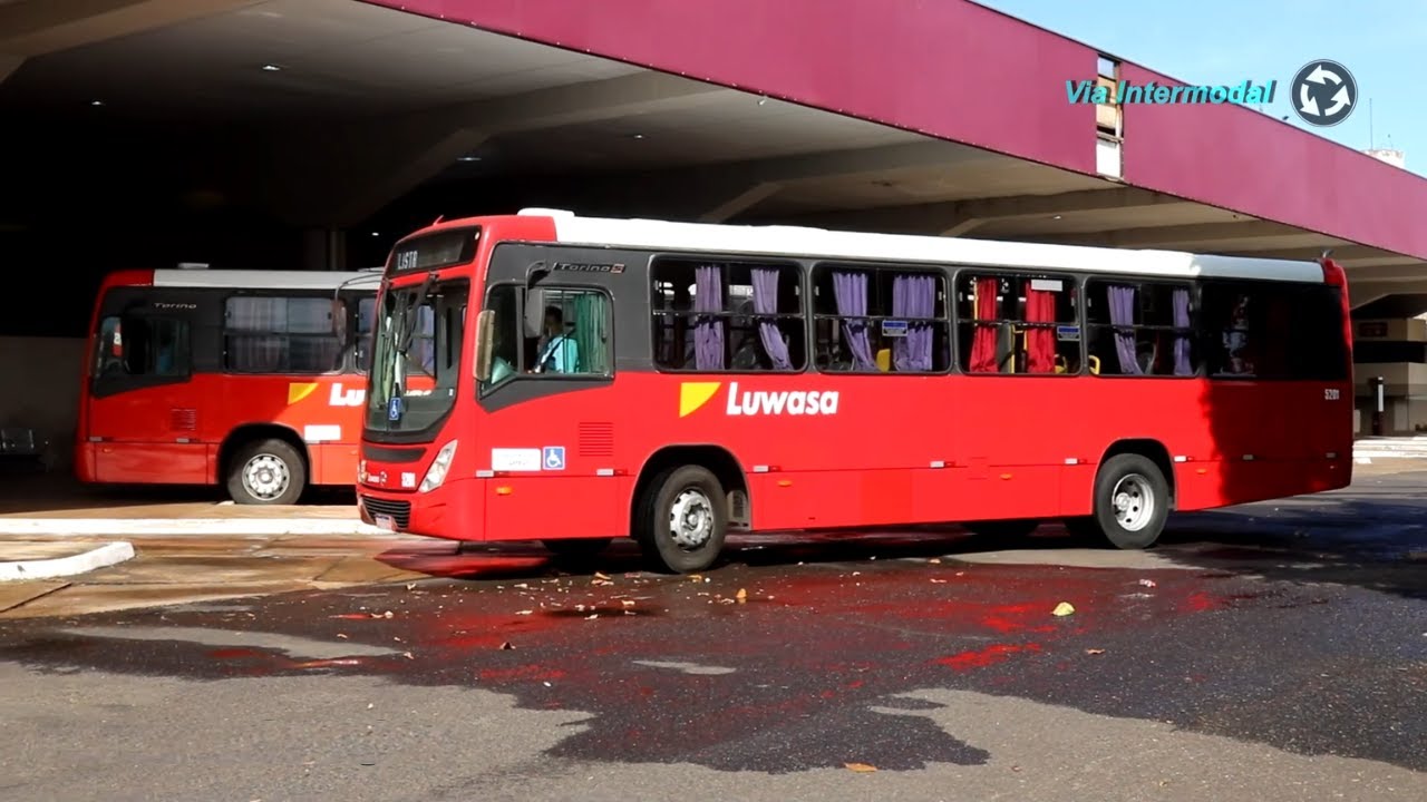 Rodoviária de Catanduva (SP) – Movimentação de ônibus 2025