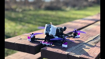 Smooth Operator and T-Rex DVR footage