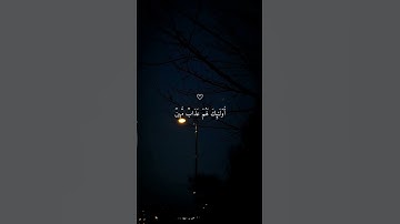 احترم القرآن الكريم #ارح_قلبك #المصحف #الرحمن #راحة_نفسية