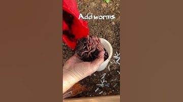 Worm Tower How-To in 27 seconds