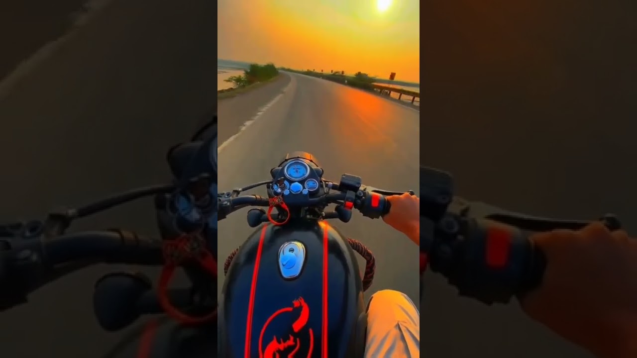 Royal bulut Excuse Song