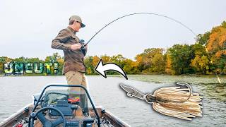 Fishing Chatterbaits For Shallow Grass Bass! (Uncut Fall Fishing Day)