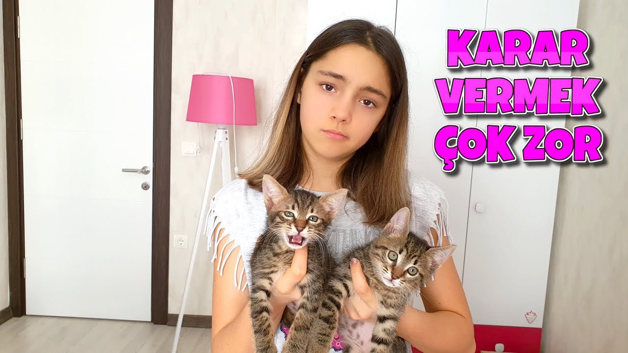 Kedilerin Bakimini Nasil Yapiyorum Hangi Kediyi Seciyorum Oyuncax Tv Youtube