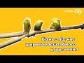 Бізнес під час широкомасштабного вторгнення. Наталія Ступак