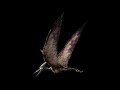 Pteranodon Sound Effects (Ver. 2)
