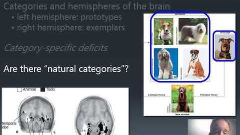UCCS PSY 1000 L19 Recorded B