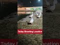 Kya Mohbat Hai Kya Nzara Hai┃Aaj Ka Shooting Location┃#birds #shorts #viralshort #trendingshorts