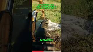 Eight Hundred Bucks Just to Clear a Creek!Check out how he does it!