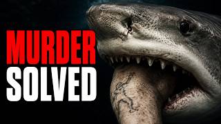 A Tiger Shark Vomited Up a Human Arm (And Solved a Murder)
