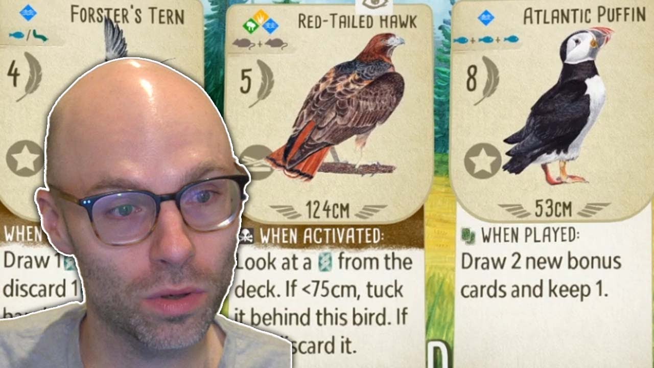 We played Wingspan for 2 hours (Wingspan) - YouTube