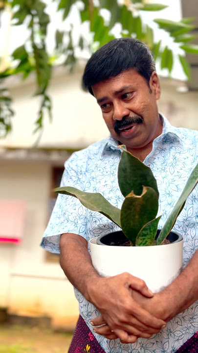 Alva Kannale ❤️