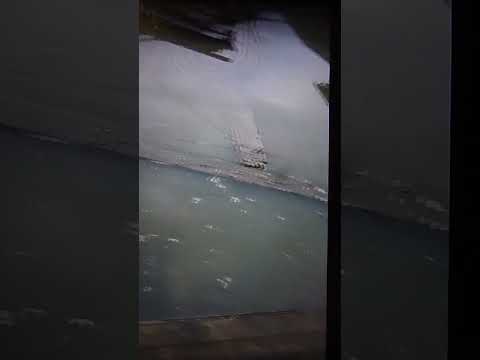 82773 51 44 843 273788644 2 0 