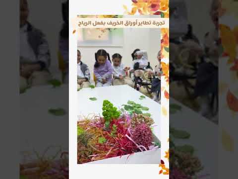 وحدة الفصول الأربعة فصل الخريف و الربيع