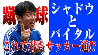 【サッカー大学】サッカー通のサッカーワード「シャドウとバイタル」